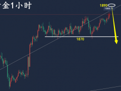万锦晟1.12最新黄金走势分析，CPI公布在即谨防转跌！
