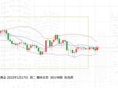 张尧浠：黄金回撤空间调整有限、中长期前景看涨不变