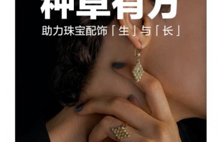 种草有方，生长有道！「品牌SPU四象限」激发珠宝配饰品牌新活力